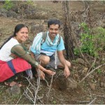 lohagad tree plantation