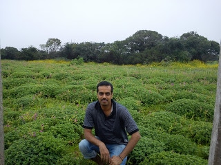 Kaas plateau