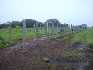 protection compound at at Kaas plateau