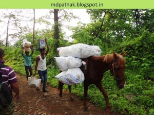 material is carried on horses to village peth at foot of fort kothaligad