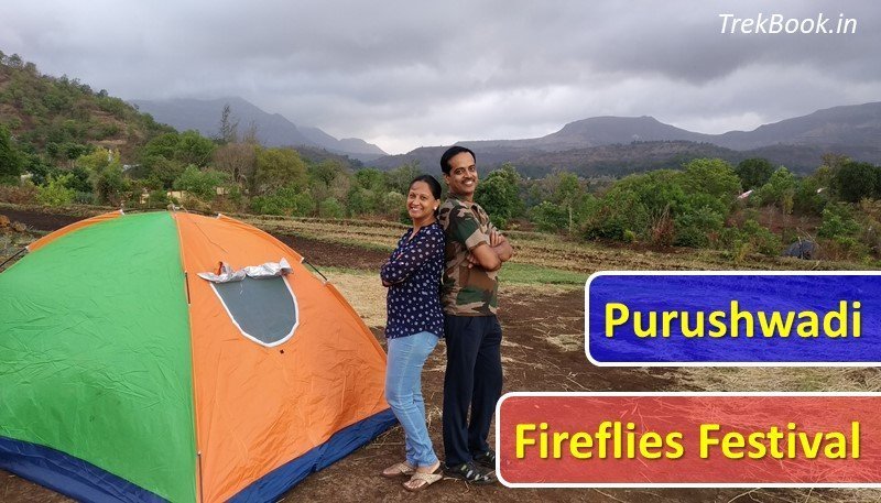 Purushwadi fireflies festival dates and review