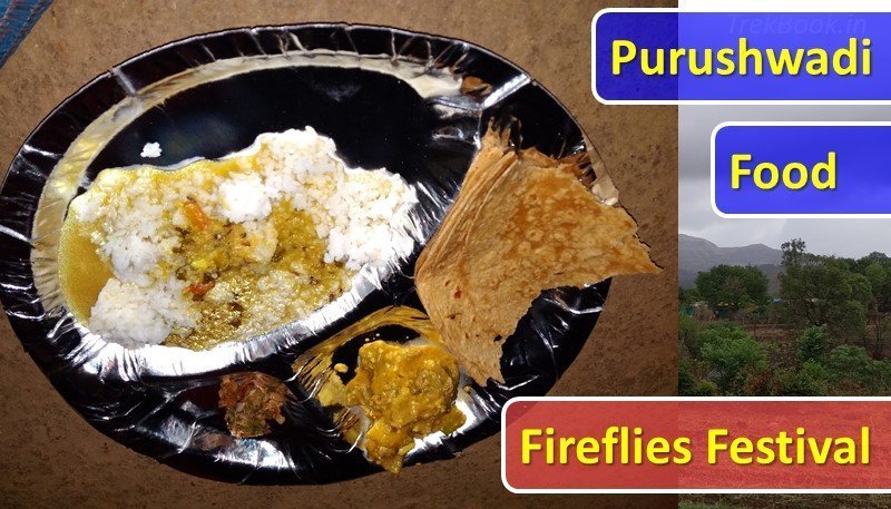 Purushwadi fireflies festival organic food dinner lunch